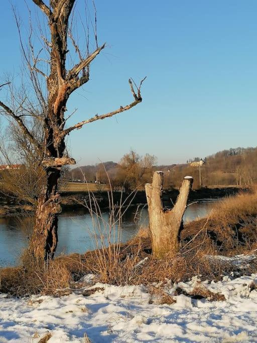 Kuca Za Odmor Jadra Chalet *