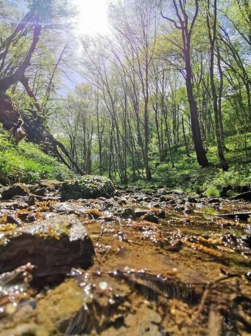 Kuca Za Odmor Jadra Chalet Duga Resa