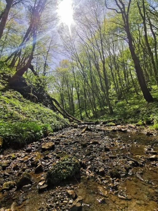 Kuca Za Odmor Jadra Chalet Duga Resa